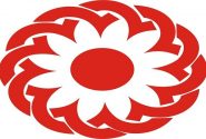 اضطراب کودکان کرمانشاهی زیر ذره‌بین کارشناسان بهزیستی