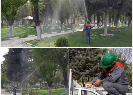 آغاز عملیات سم‌پاشی درختان نارون شهر کرمانشاه