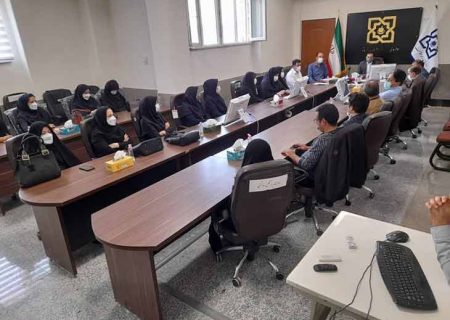 کرمانشاه در نسخه نویسی الکترونیک از استانهای برتر کشور