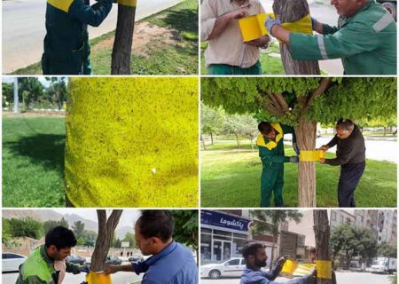 استفاده از تله رنگی به جای سموم شیمیایی در کنترل آفات درختان