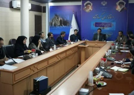 گفتمان سازی لازم برای سالمندان نشده/ما کسی را به عنوان مصرف کننده نمی دانیم    
