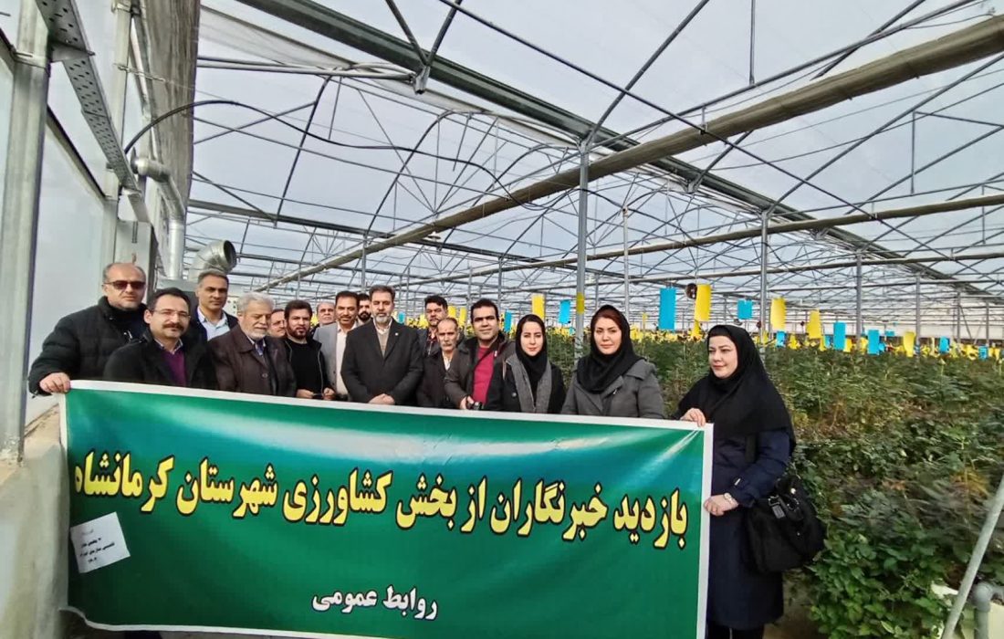 هفتمین تور رسانه‌ای و آموزشی بازدید از گلخانه رز فرامان در استان کرمانشاه برگزار شد