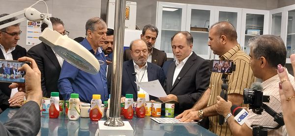 برداشت محصول در منطقه کرمانشاه، به ۲۲۰ تن در هکتار رسیده است