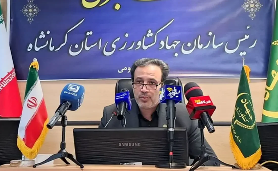 ۳۲ درصد اشتغال استان در بخش کشاورزی/توسعه کشت‌های کم‌آب‌بر و زعفران در دستور کار است