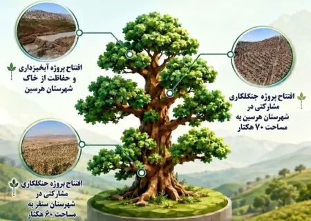 افتتاح ۱۳۰ هکتار جنگل‌کاری مشارکتی در کرمانشاه/ گامی بلند برای حفاظت از خاک و منابع آبی در هفته دولت